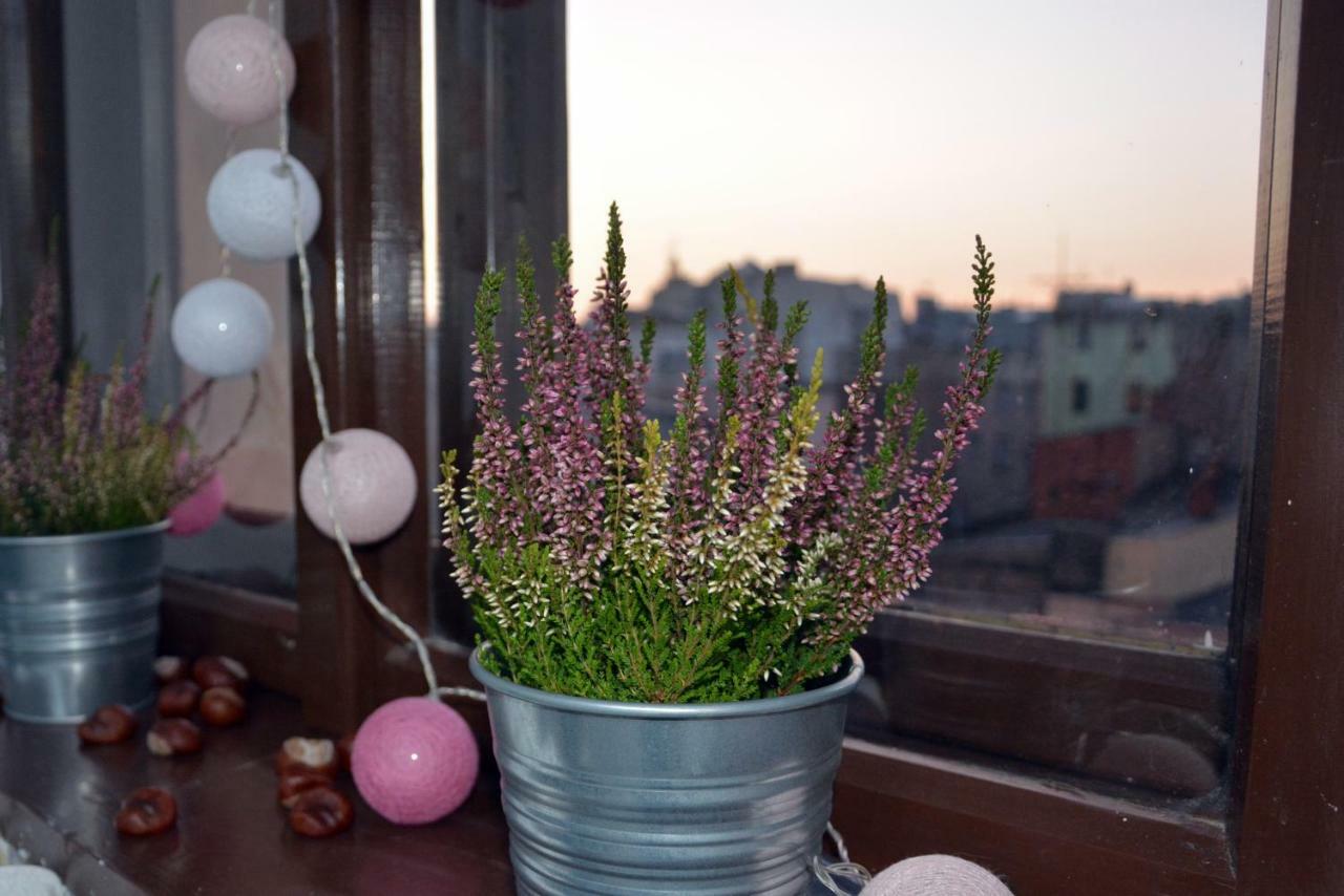 Apartament Bartolomeo Stary Toruń Kültér fotó